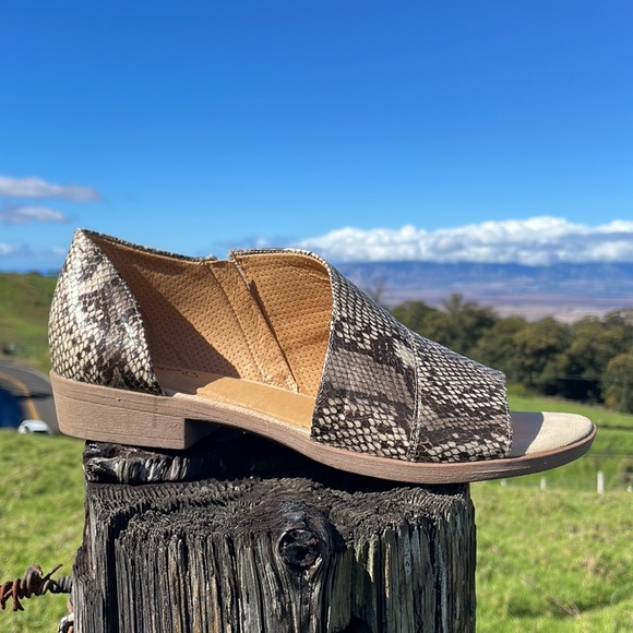 The Baretraps Casual Sedina Snake Wrap Peep Toe Slip on Sandal NWOB 10 - Picture 4 of 12